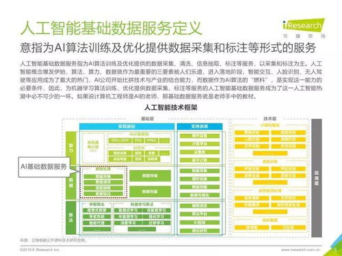 中國人工智能基礎數(shù)據(jù)服務與行業(yè)應用集成服務雙輪驅動產(chǎn)業(yè)發(fā)展報告